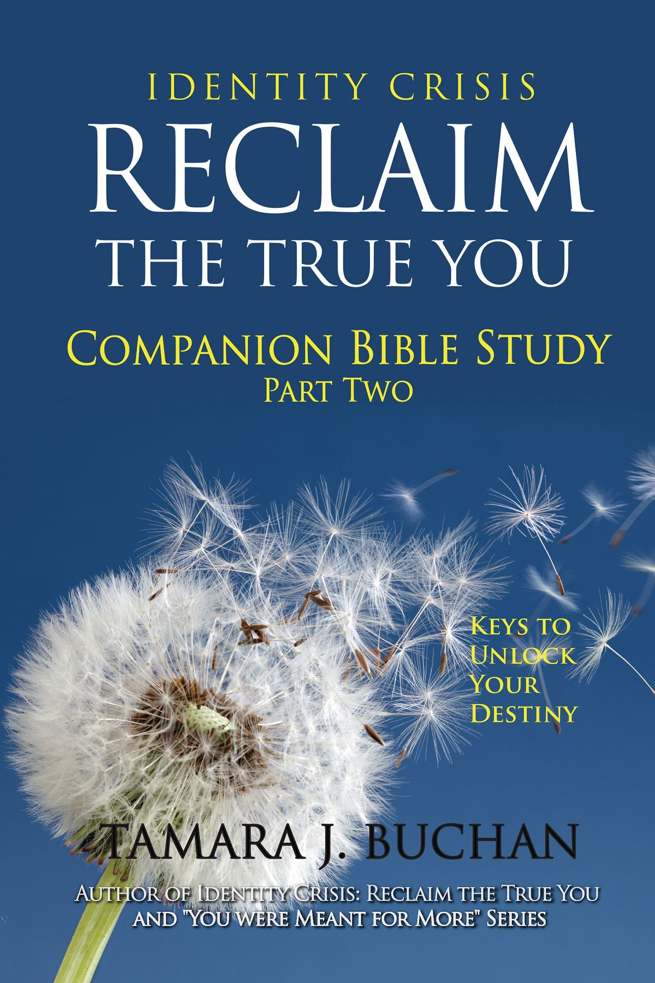 Identity Crisis Reclaim the True You Companion Bible Study Part 2