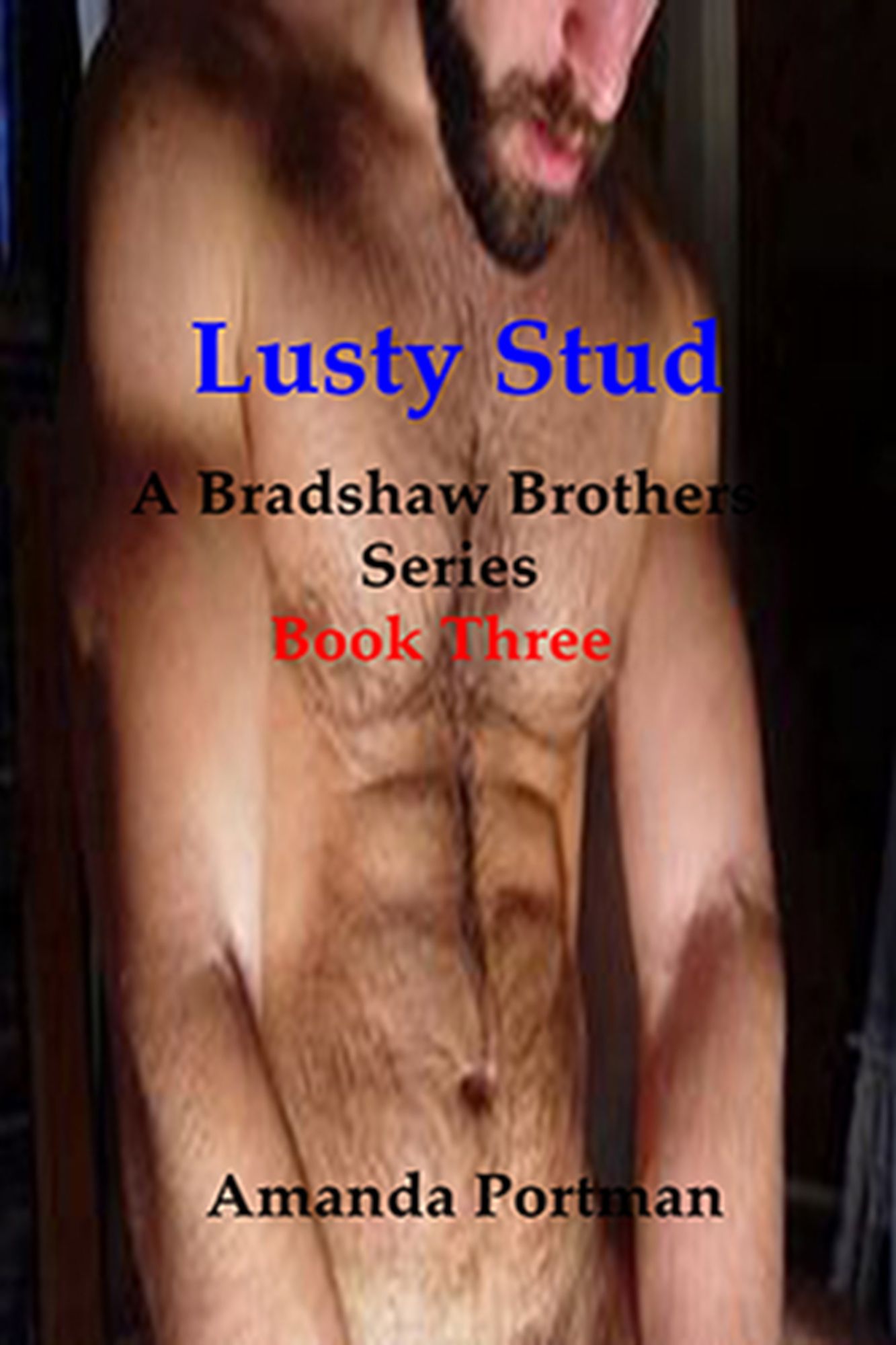 Lusty Stud, A Bradshaw Brothers Series book 3