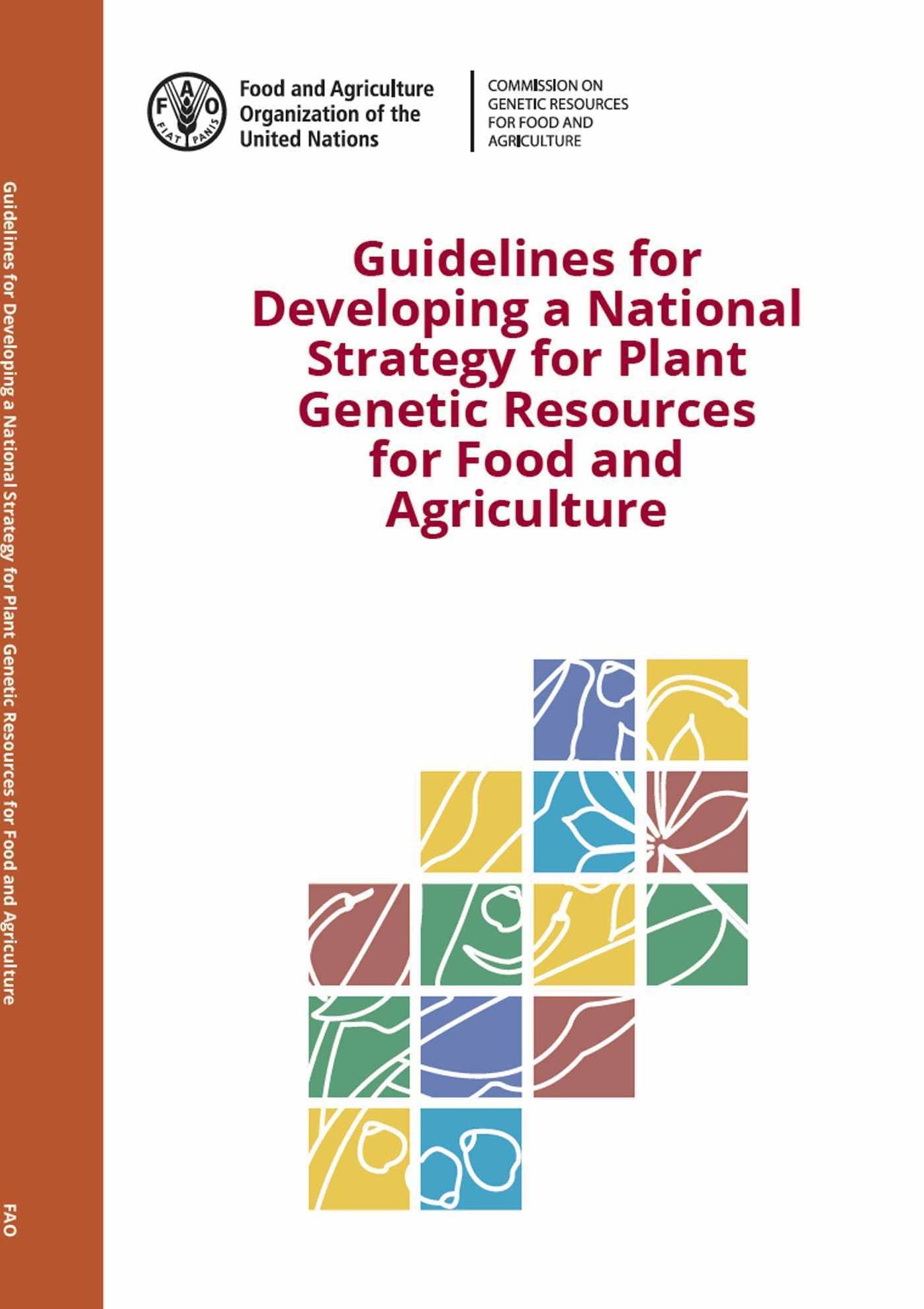 Guidelines For Developing a National Strategy for Plant Genetic Resources for Food and Agriculture