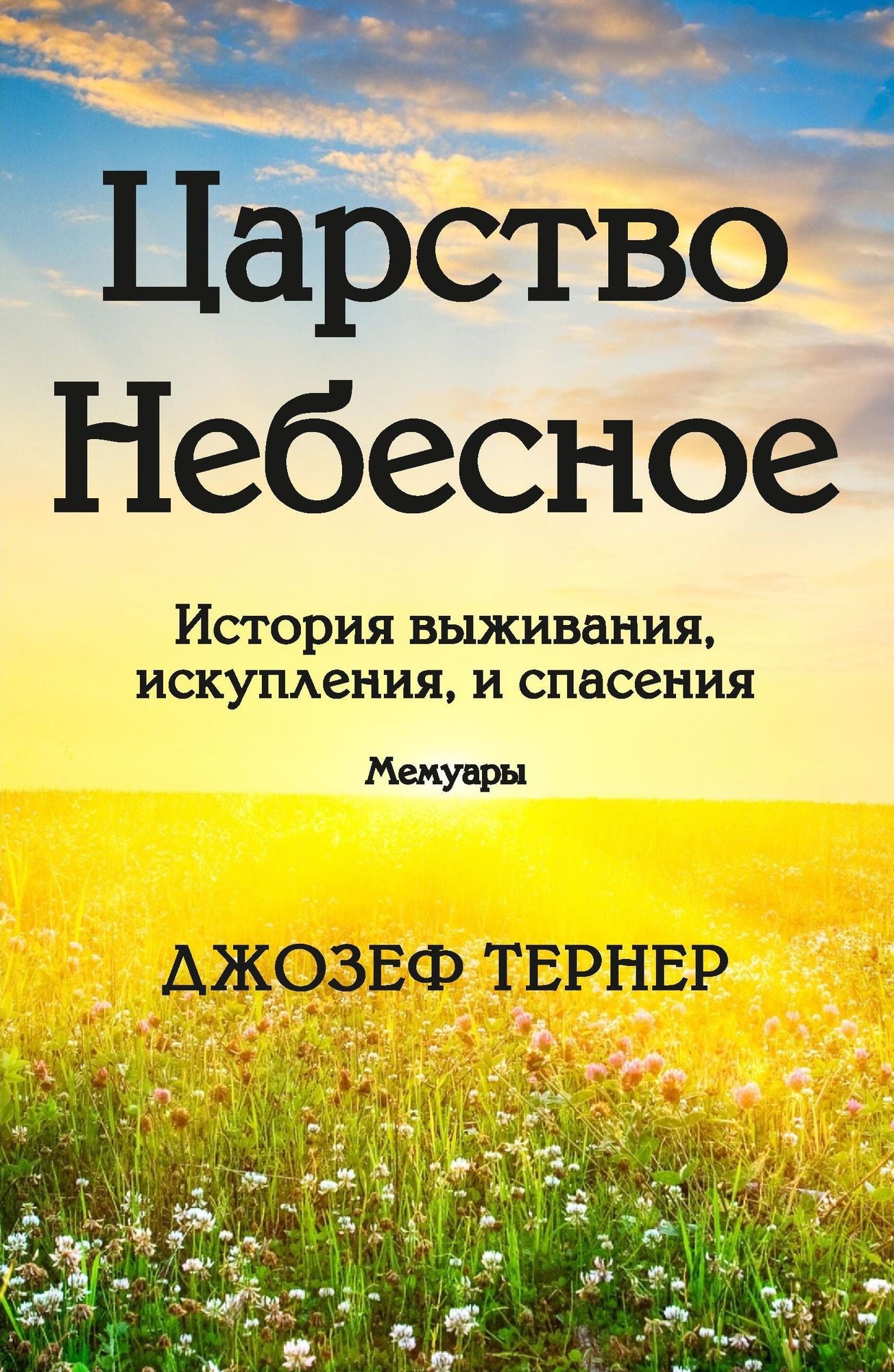 Carstvo Nebesnoe: Istoria vyzivania, iskuplenia i spasenia