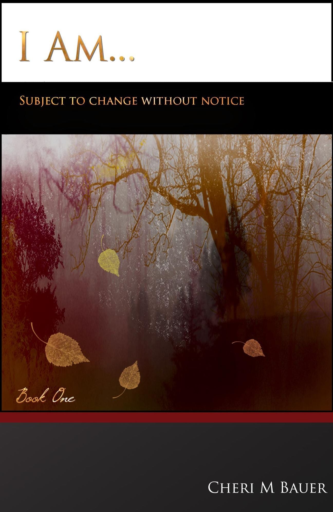I Am... Subject To Change Without Notice (Book One)