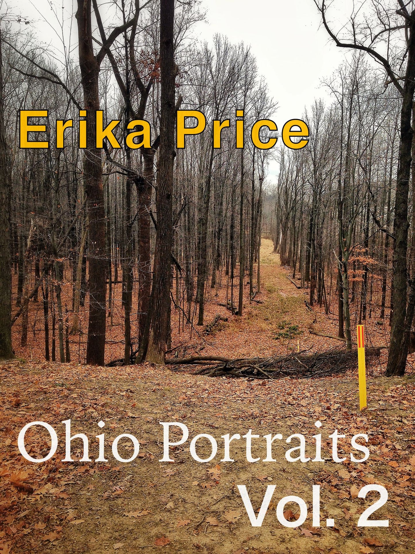 Ohio Portraits Vol. 2: More Midwestern Micromemoirs