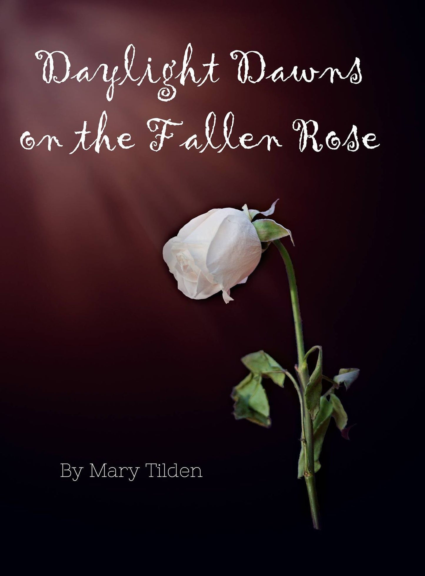 Daylight Dawns on the Fallen Rose