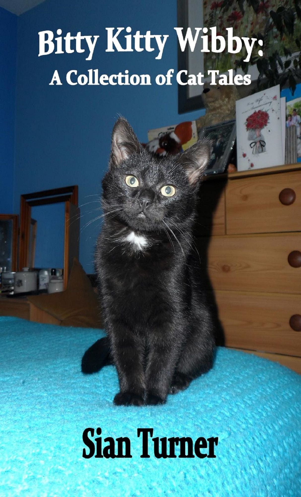 Bitty Kitty Wibby: A Collection of Cat Tales