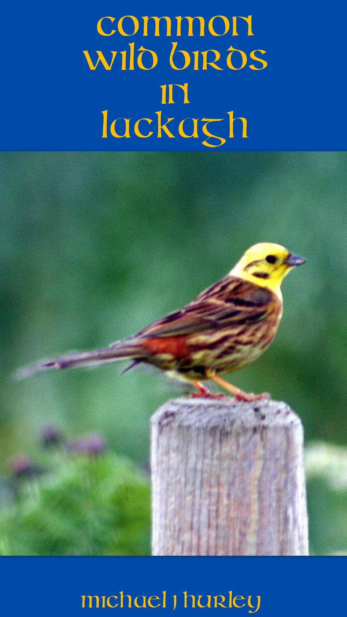 Wild Birds in Lackagh