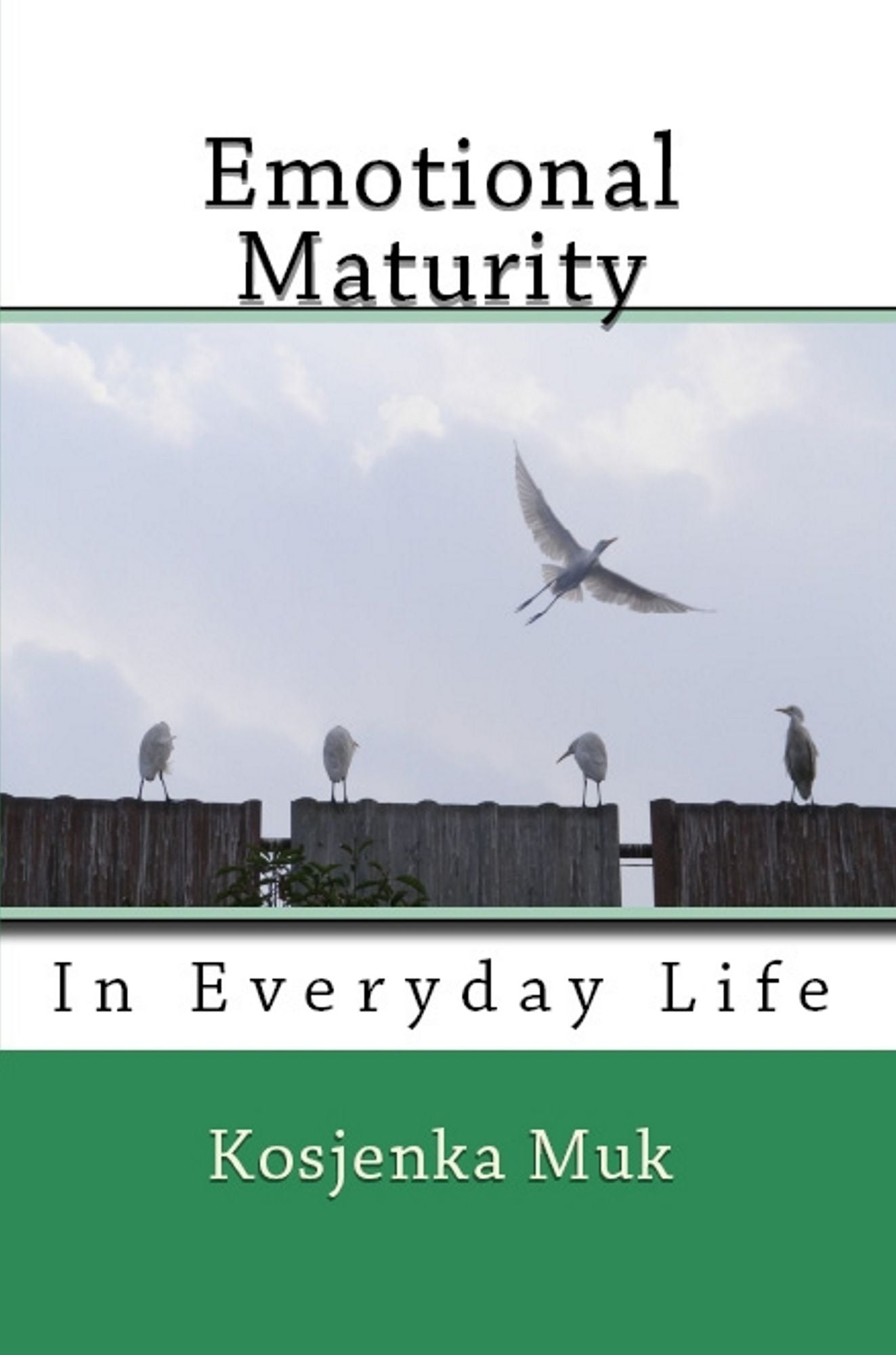Emotional Maturity In Everyday Life