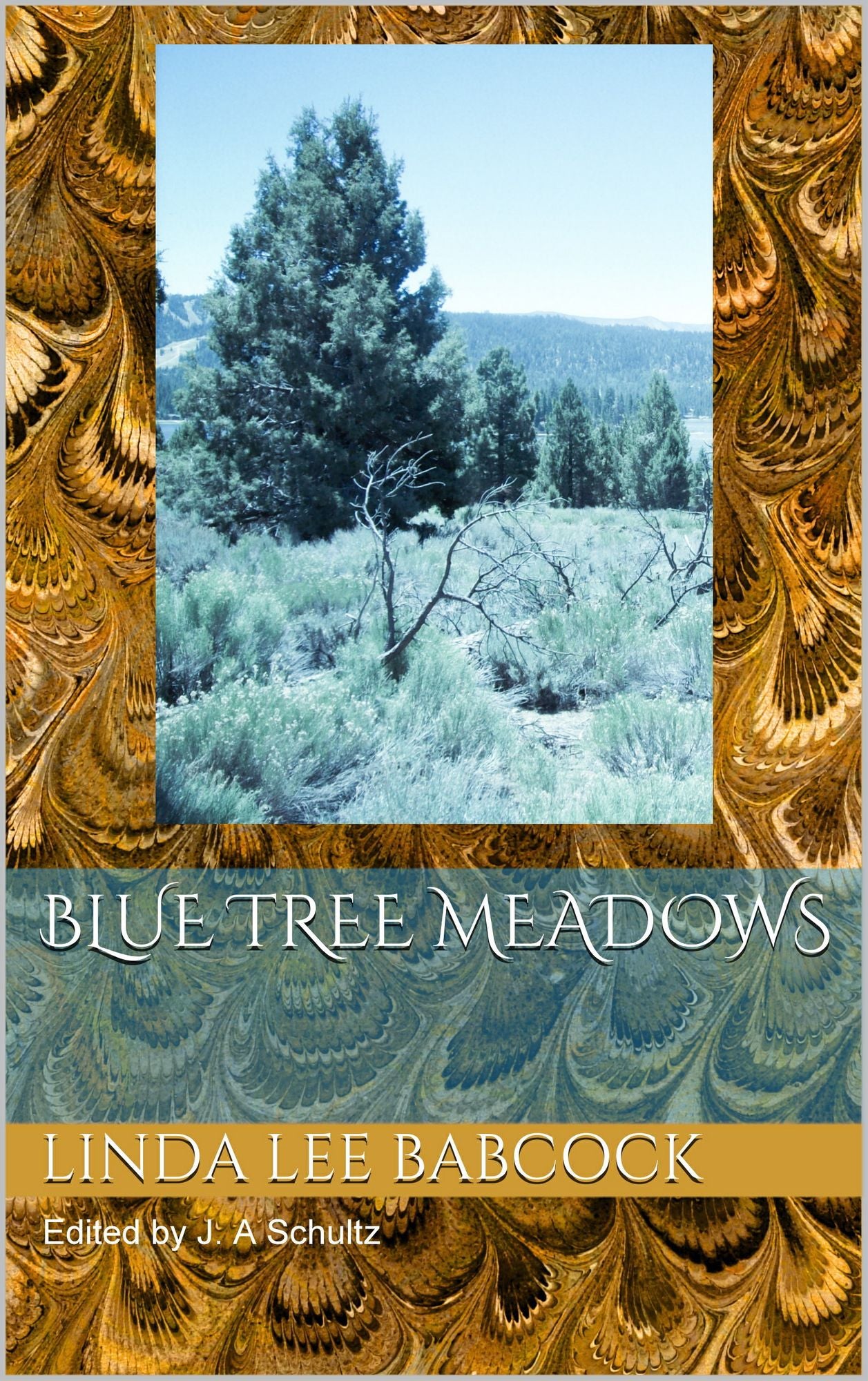 Blue Tree Meadows