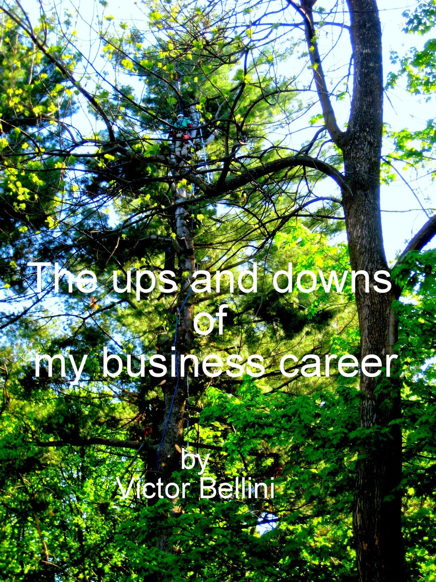 The Ups And Downs Of My Business Career