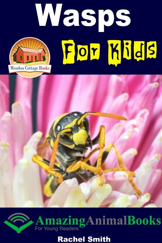 Wasps For Kids