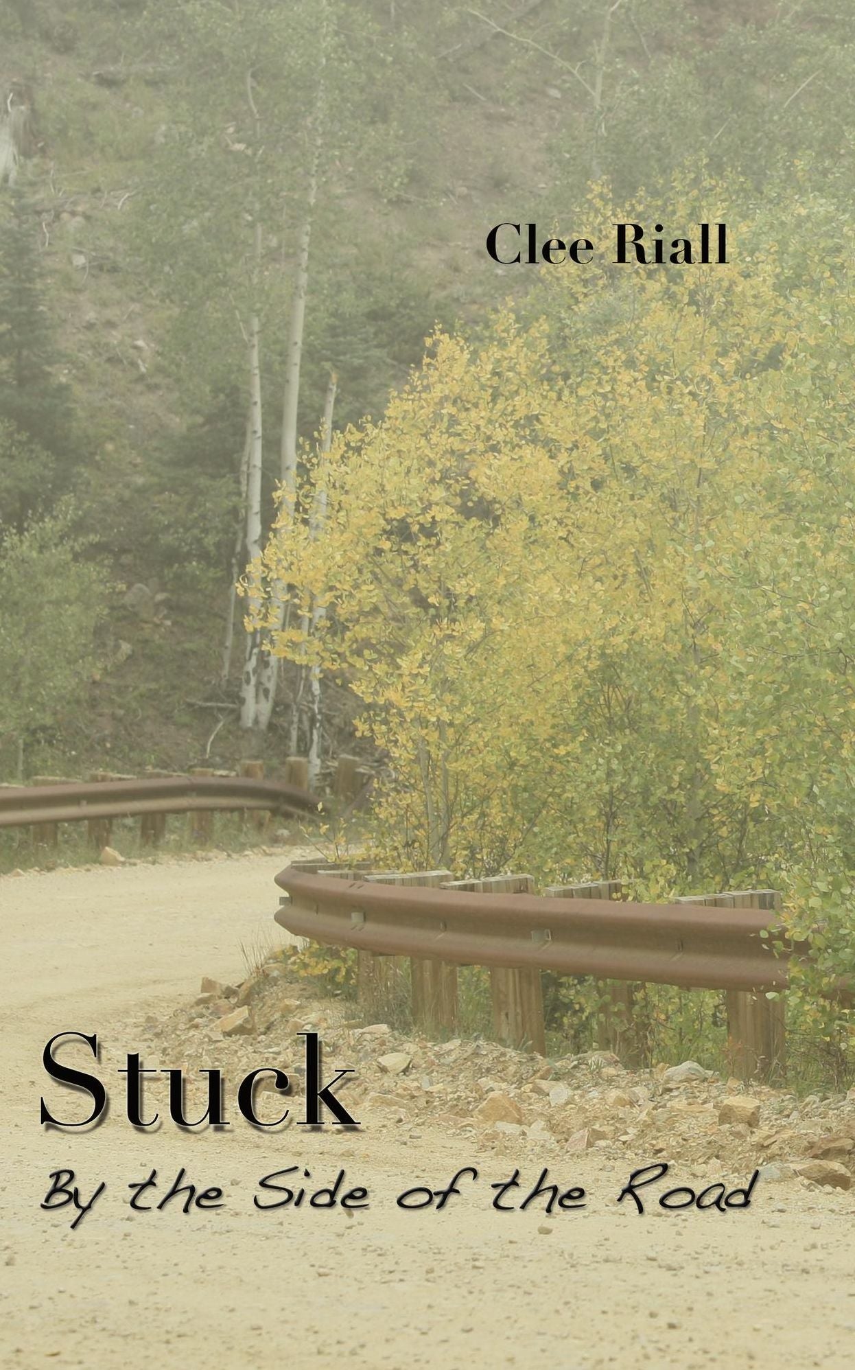 Stuck by the Side of the Road
