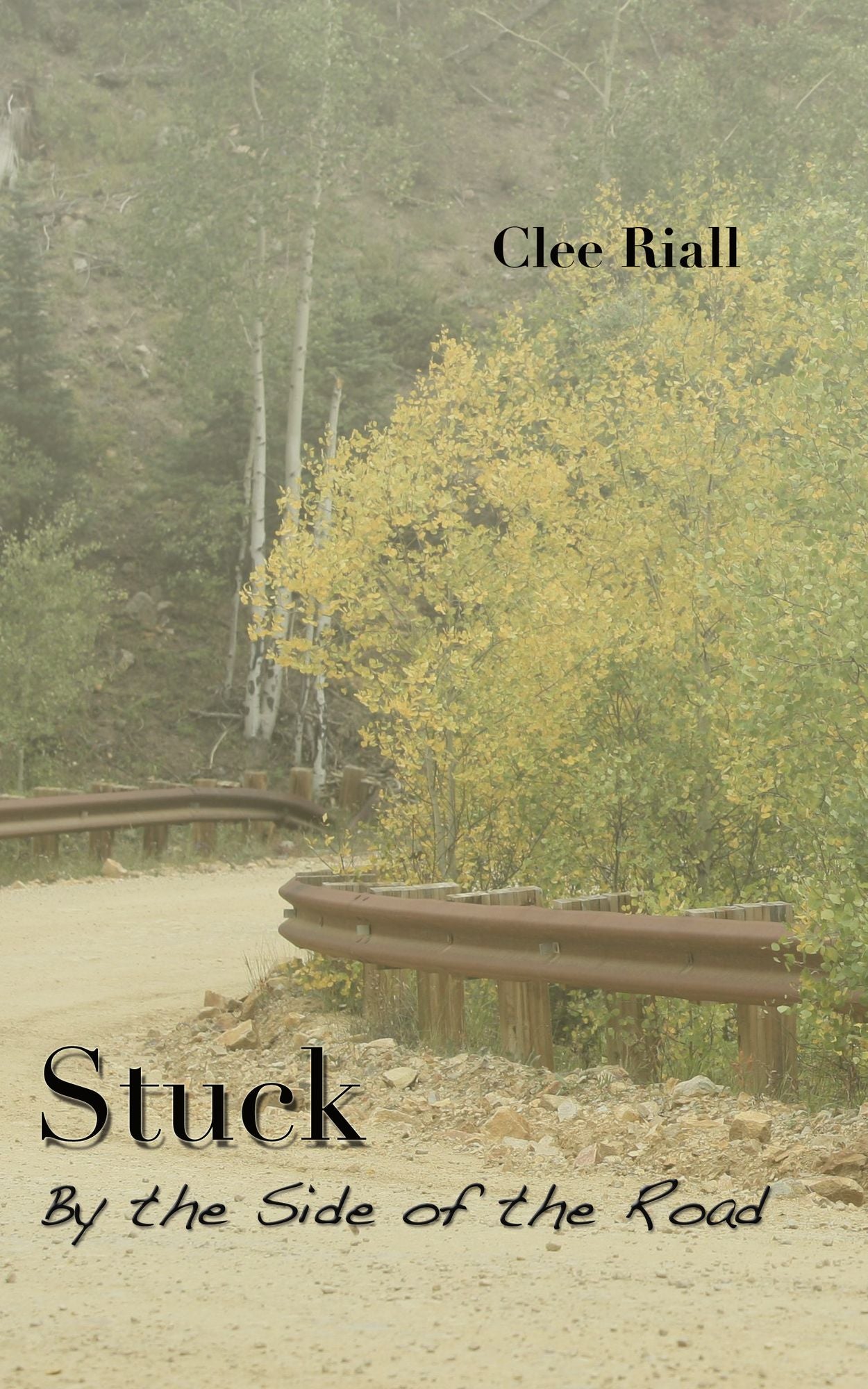 Stuck by the Side of the Road