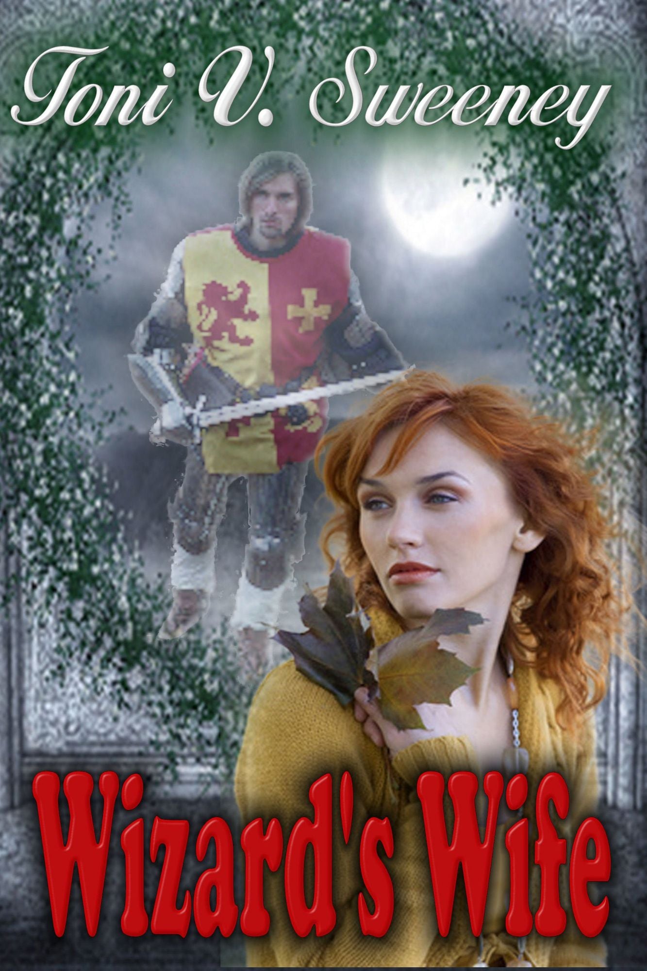 The Wizard's Wife
