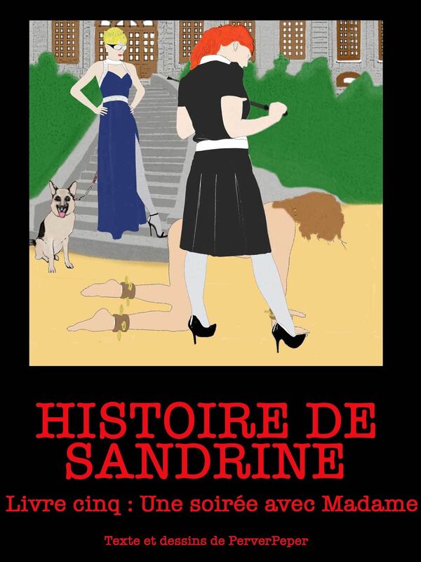 Histoire de Sandrine Livre 5