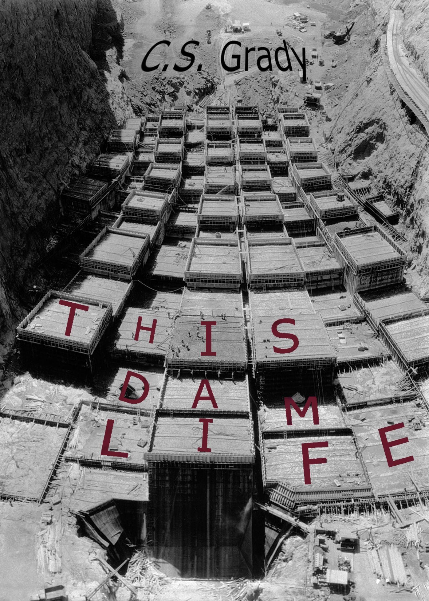 This Dam Life