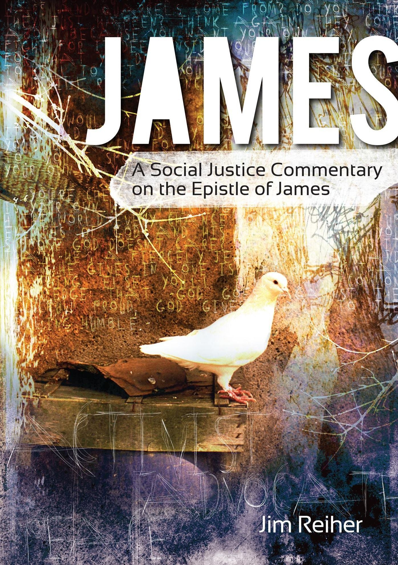 James: A Social Justice Commentary on the Epistle of James