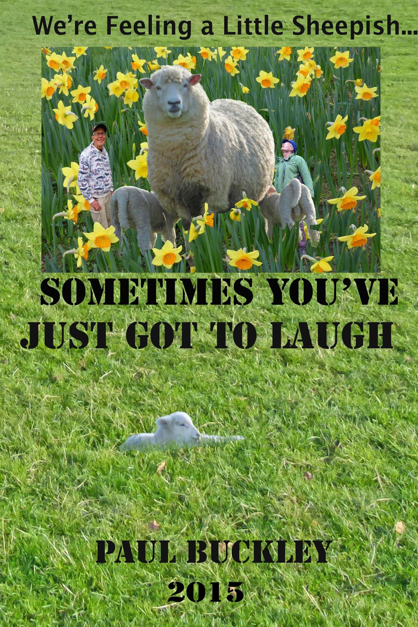 We're Feeling a Little Sheepish ...