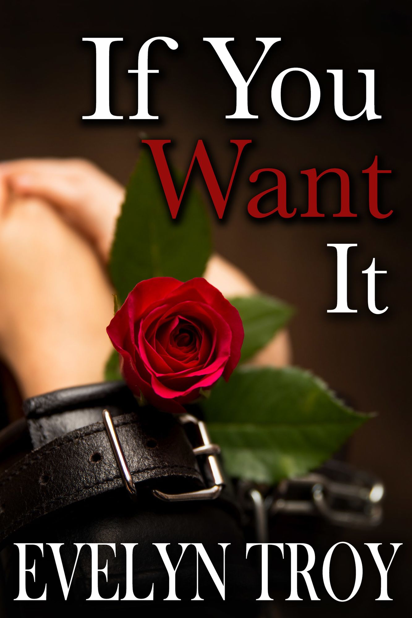 If You Want It: Contemporary Billionaire Erotic Romance