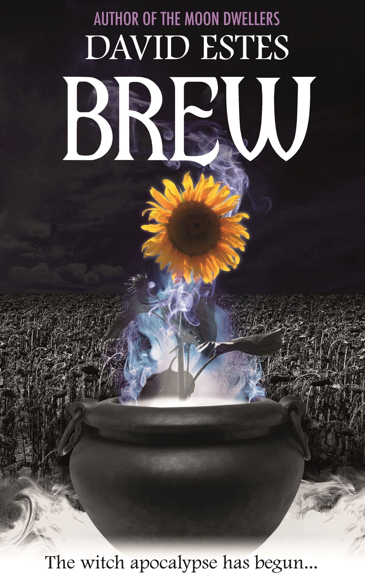 Brew