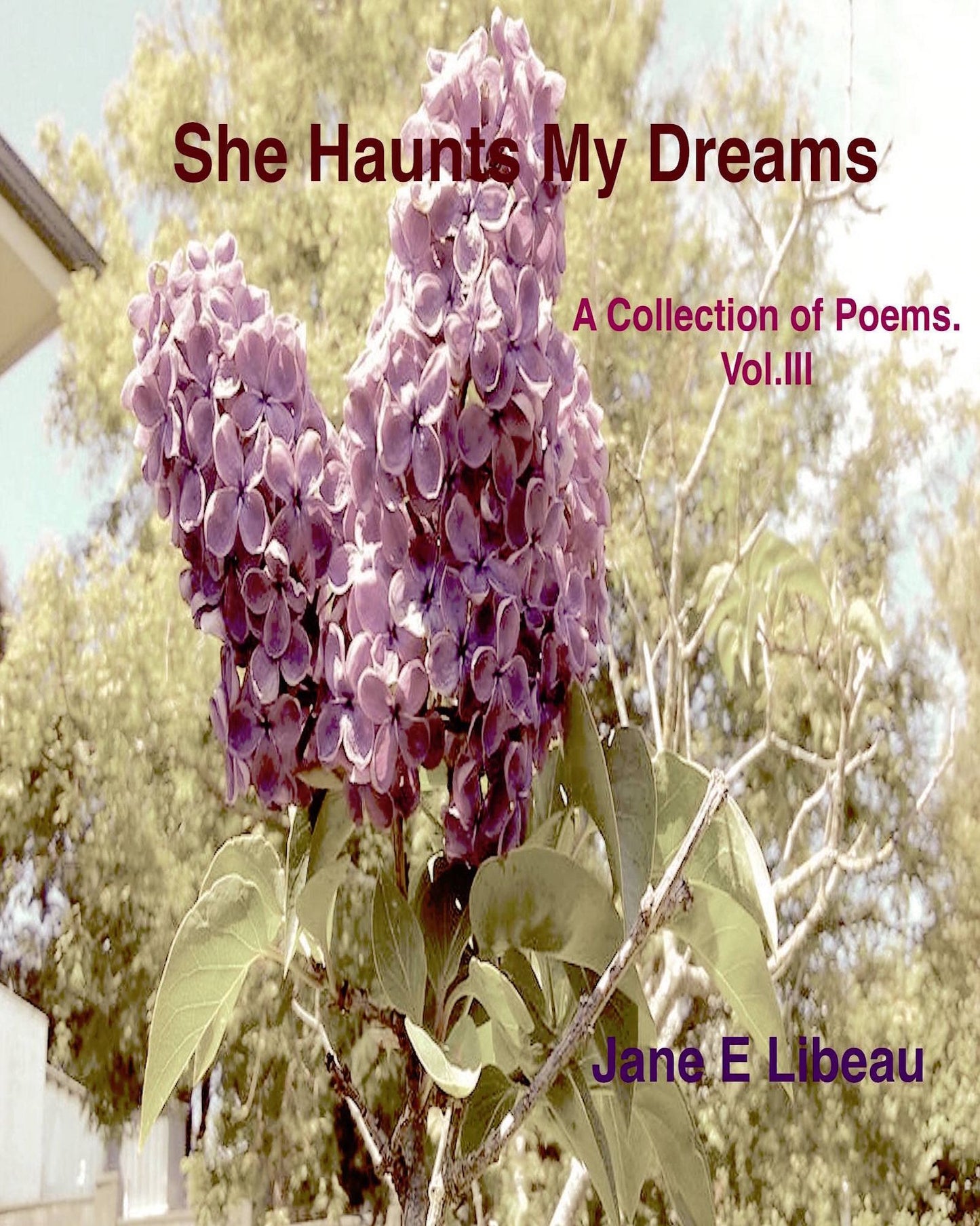 She Haunts My Dreams. A Collection of Poems. Vol III