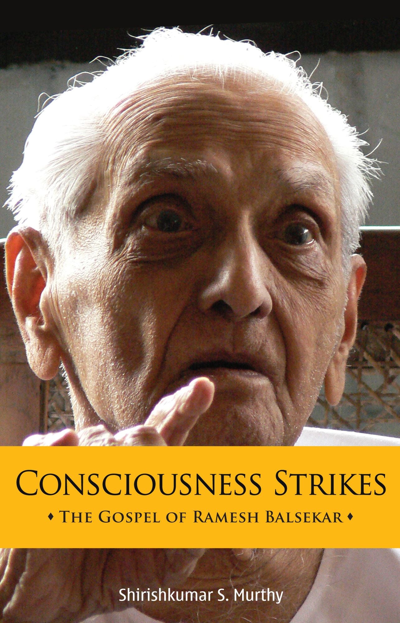 Consciousness Strikes: The Gospel of Ramesh Balsekar