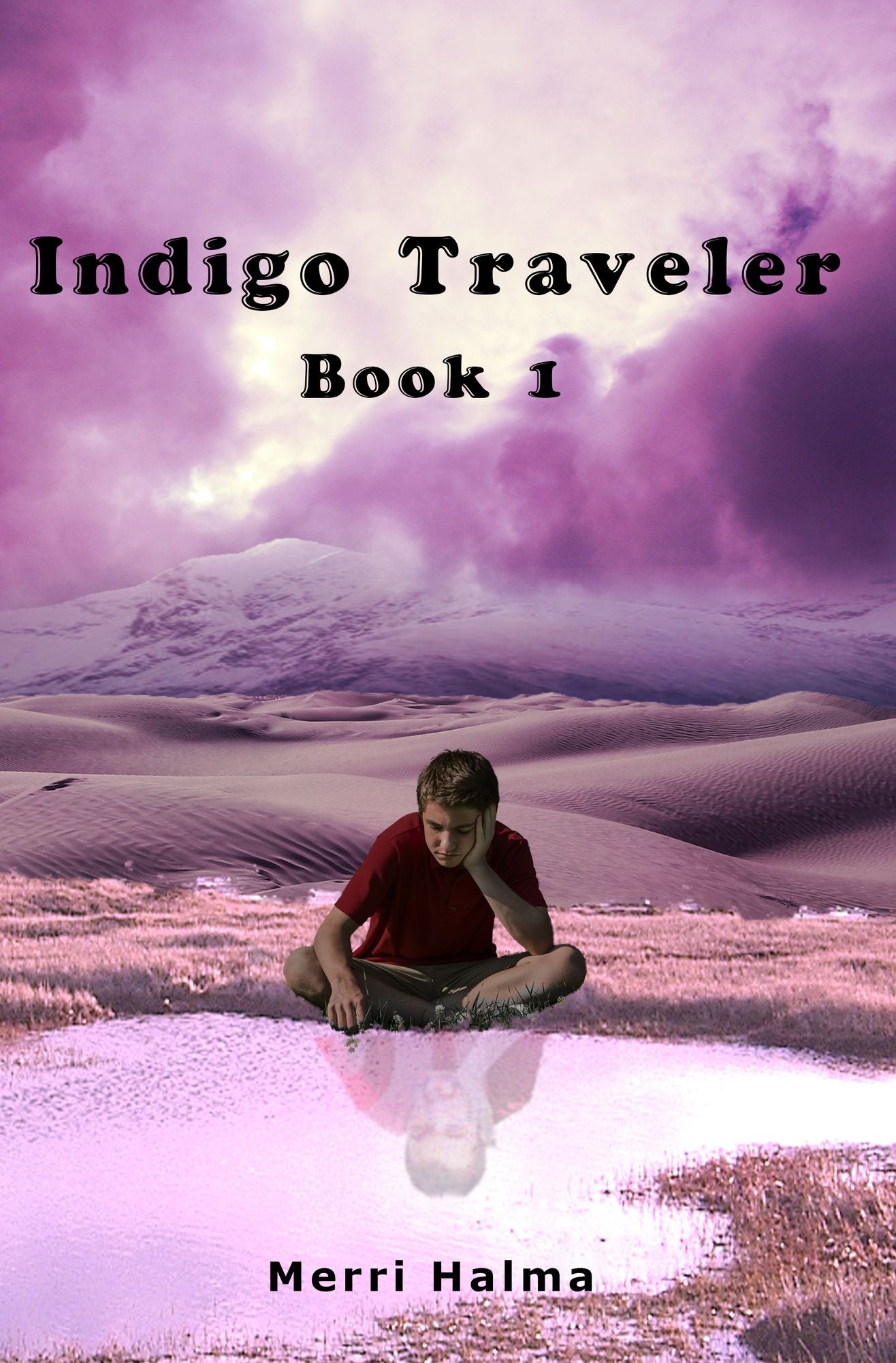 Indigo Traveler Book 1