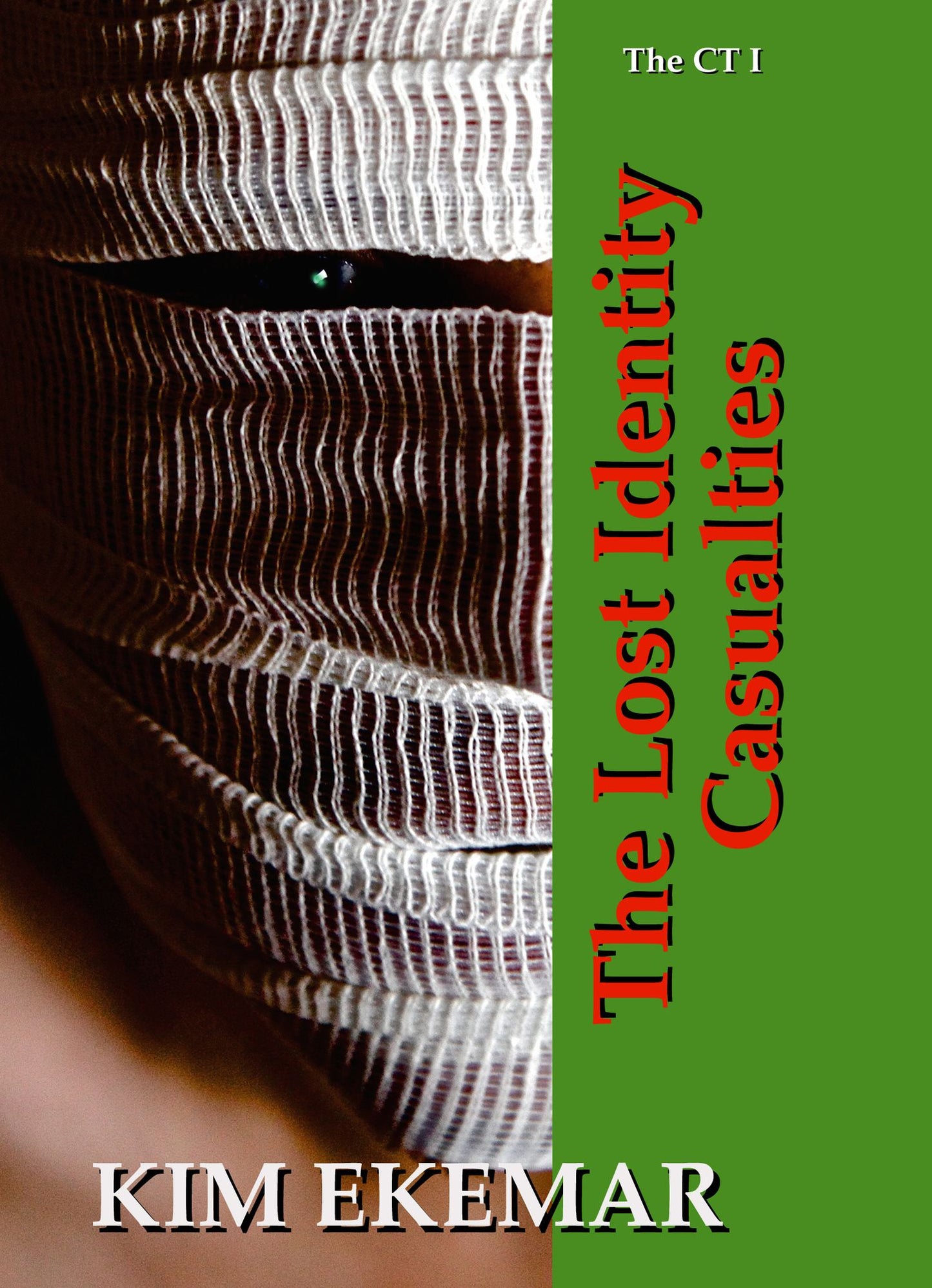 The Lost Identity Casualties (The Callaghan Tetralogy I)