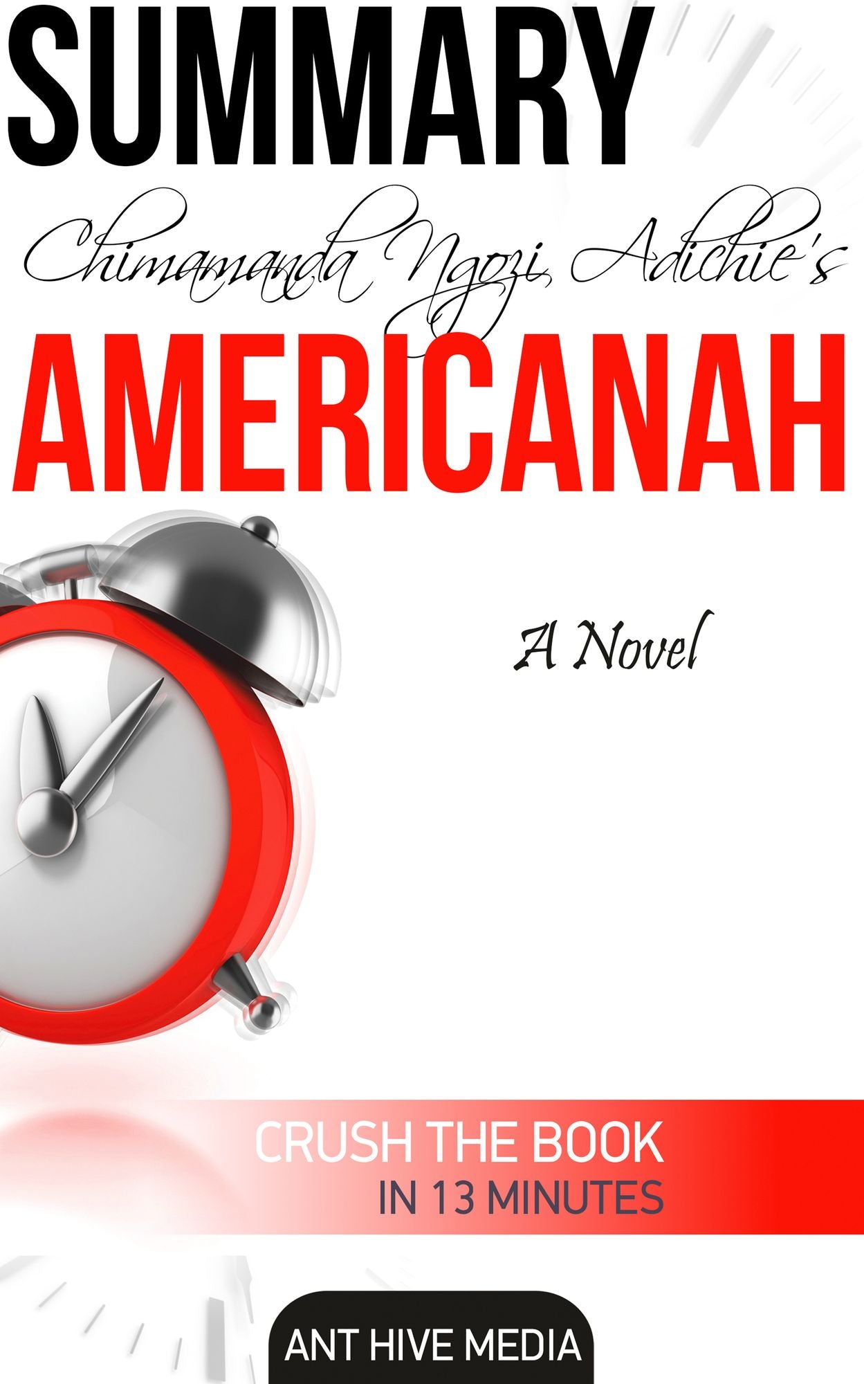 Chimamanda Ngozi's Americanah Summary