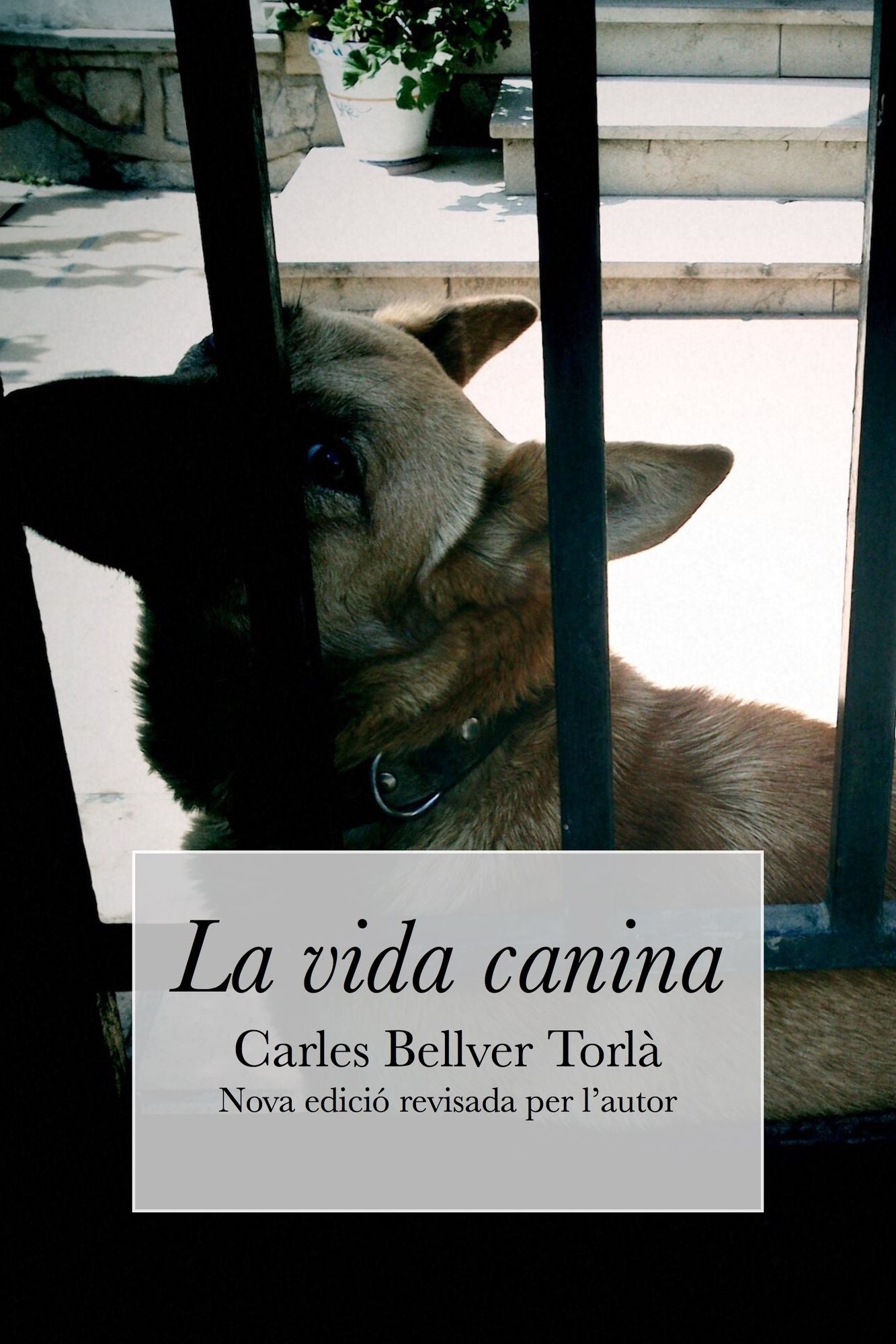 La vida canina