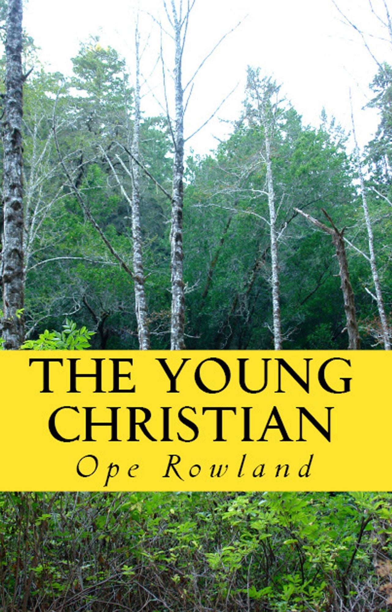 The Young Christian