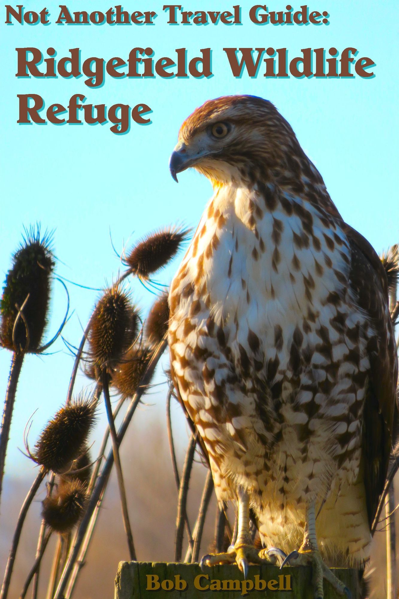 Not Another Travel Guide: Ridgefield Wildlife Refuge