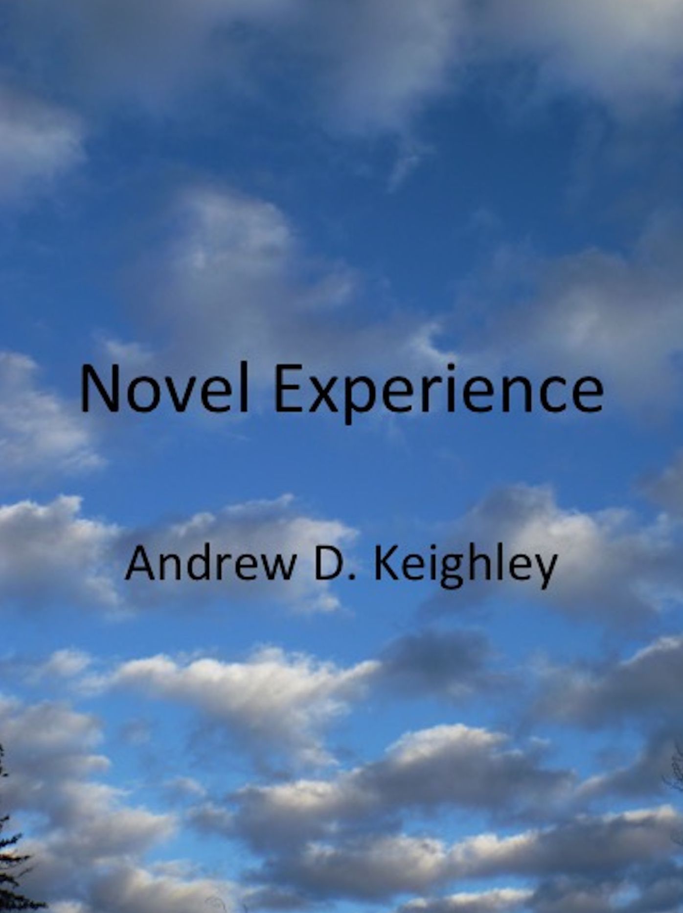 Novel Experience