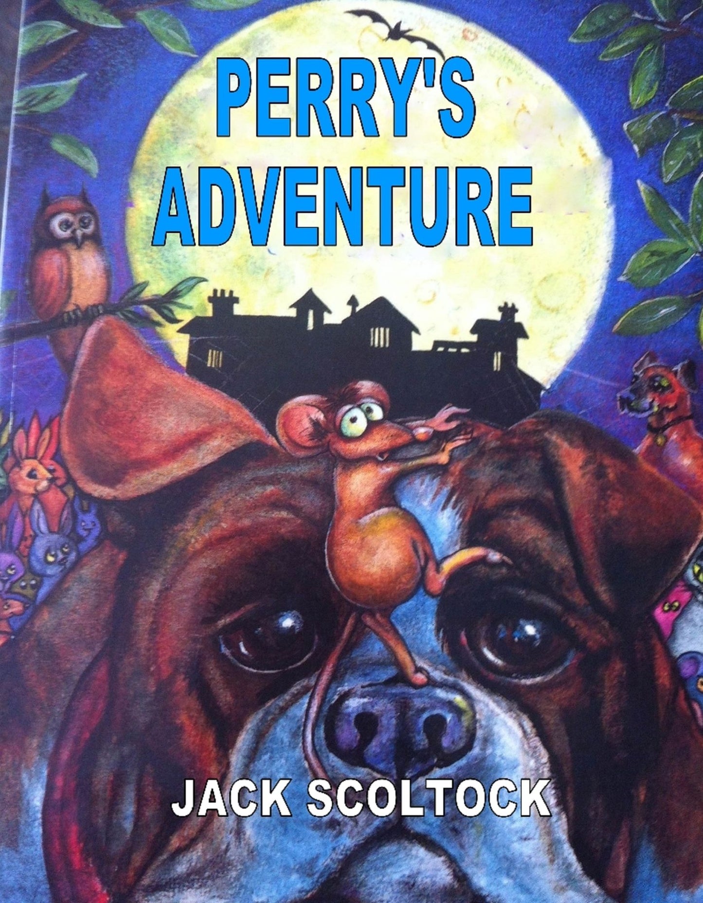 Perry's Adventure