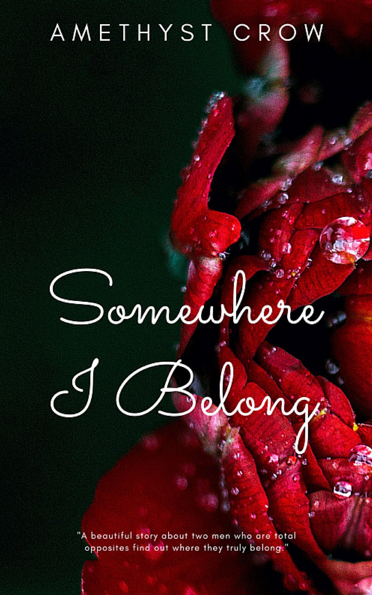 Somewhere I Belong