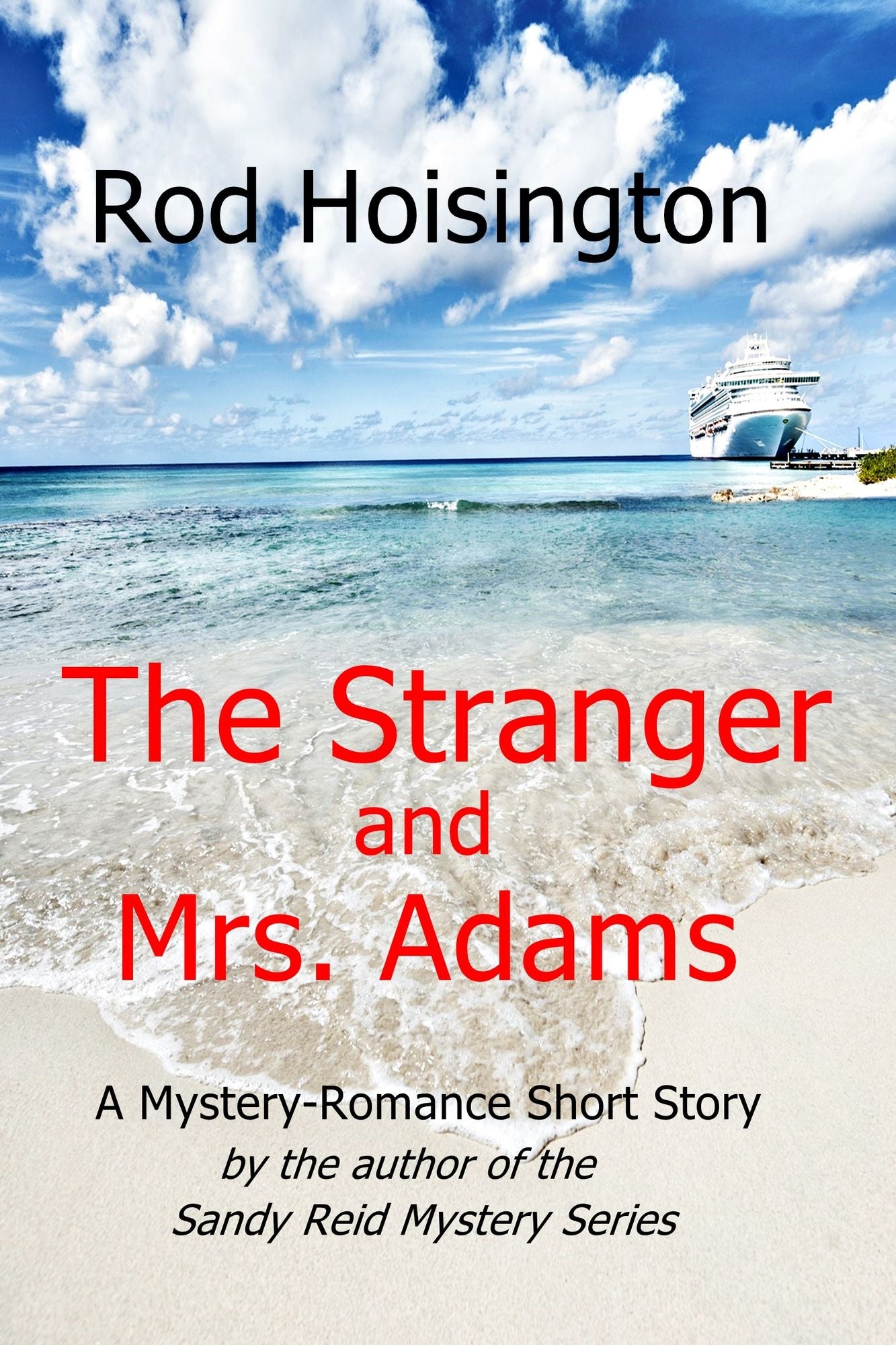 The Stranger and Mrs. Adams: A Mystery-Romance Short Story