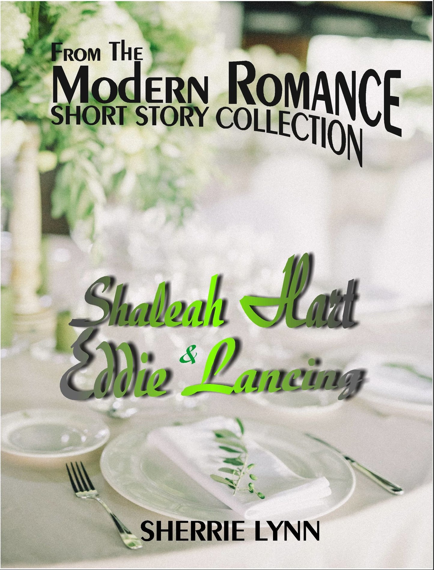 A Modern Romance 1