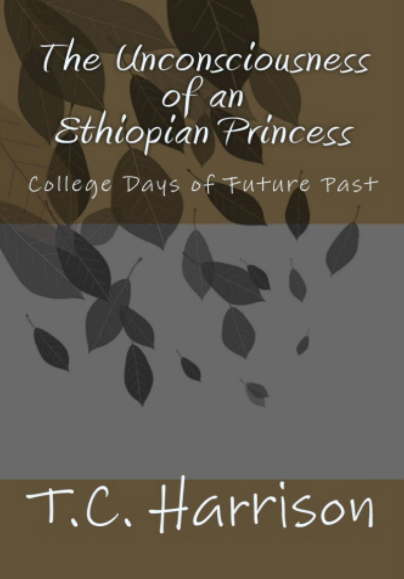 The Unconsciousness of an Ethiopian Princess: College Days of Future Past (Vol.1)