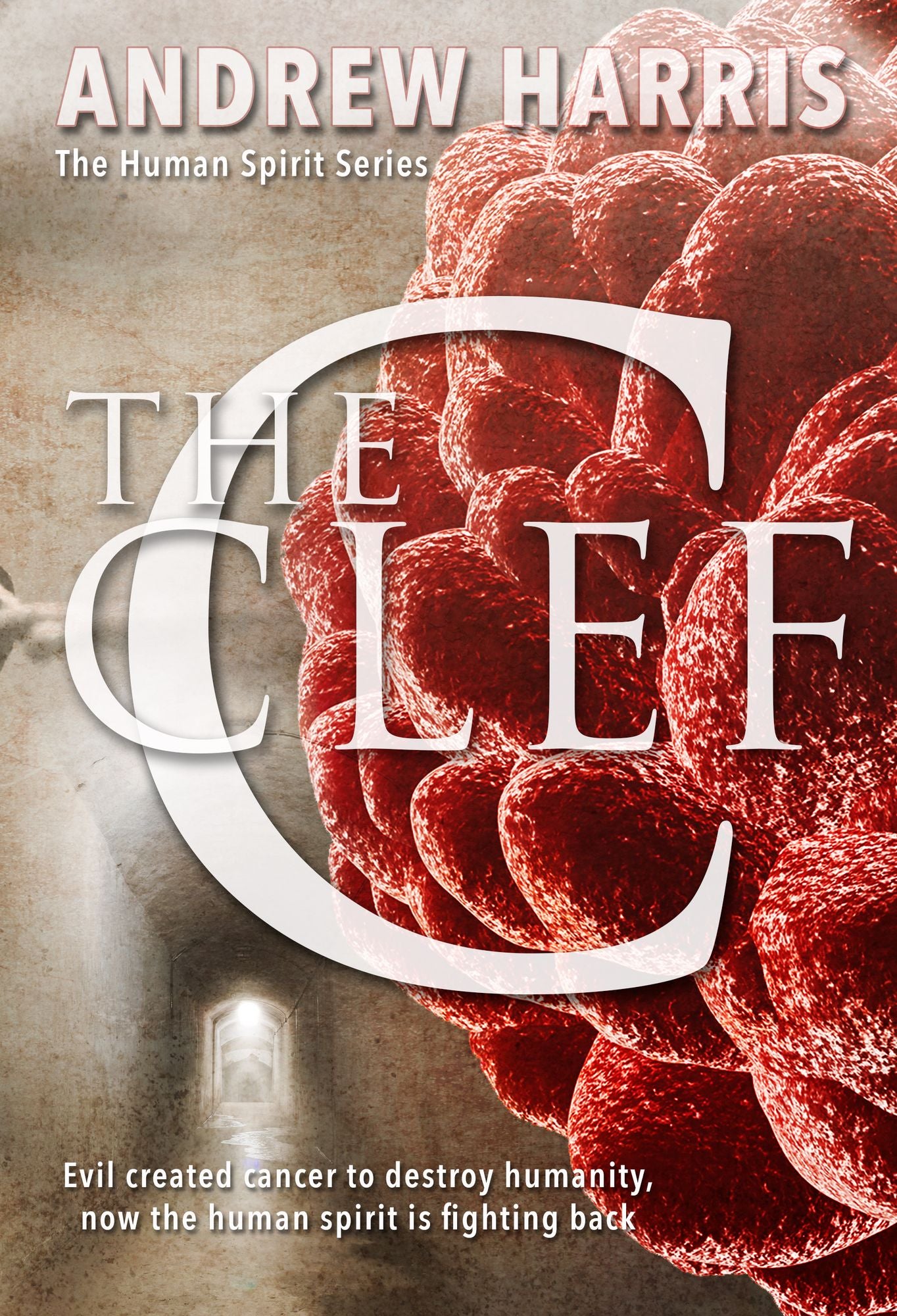 The C Clef