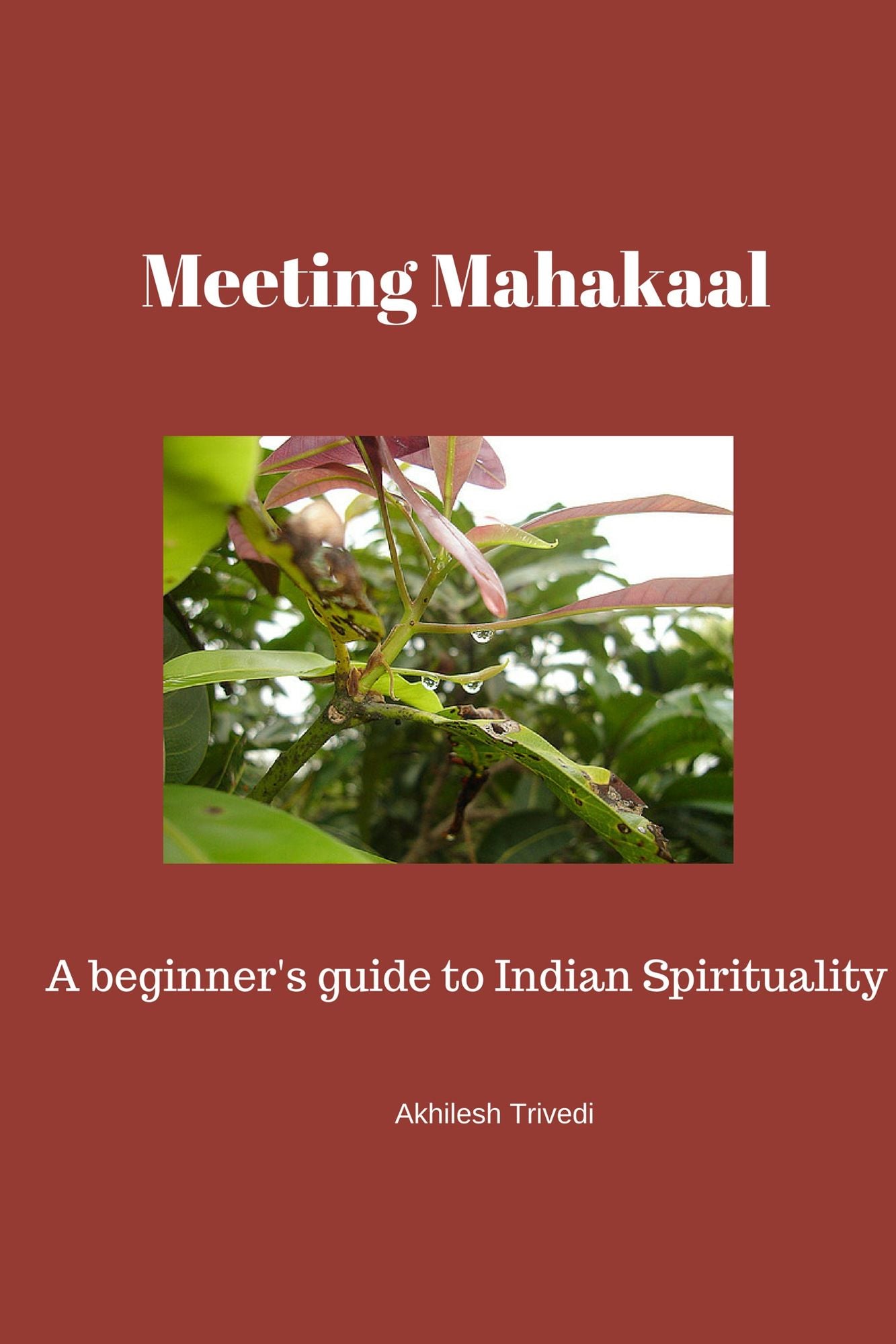 Meeting Mahakaal: A beginner's guide to Indian Spirituality