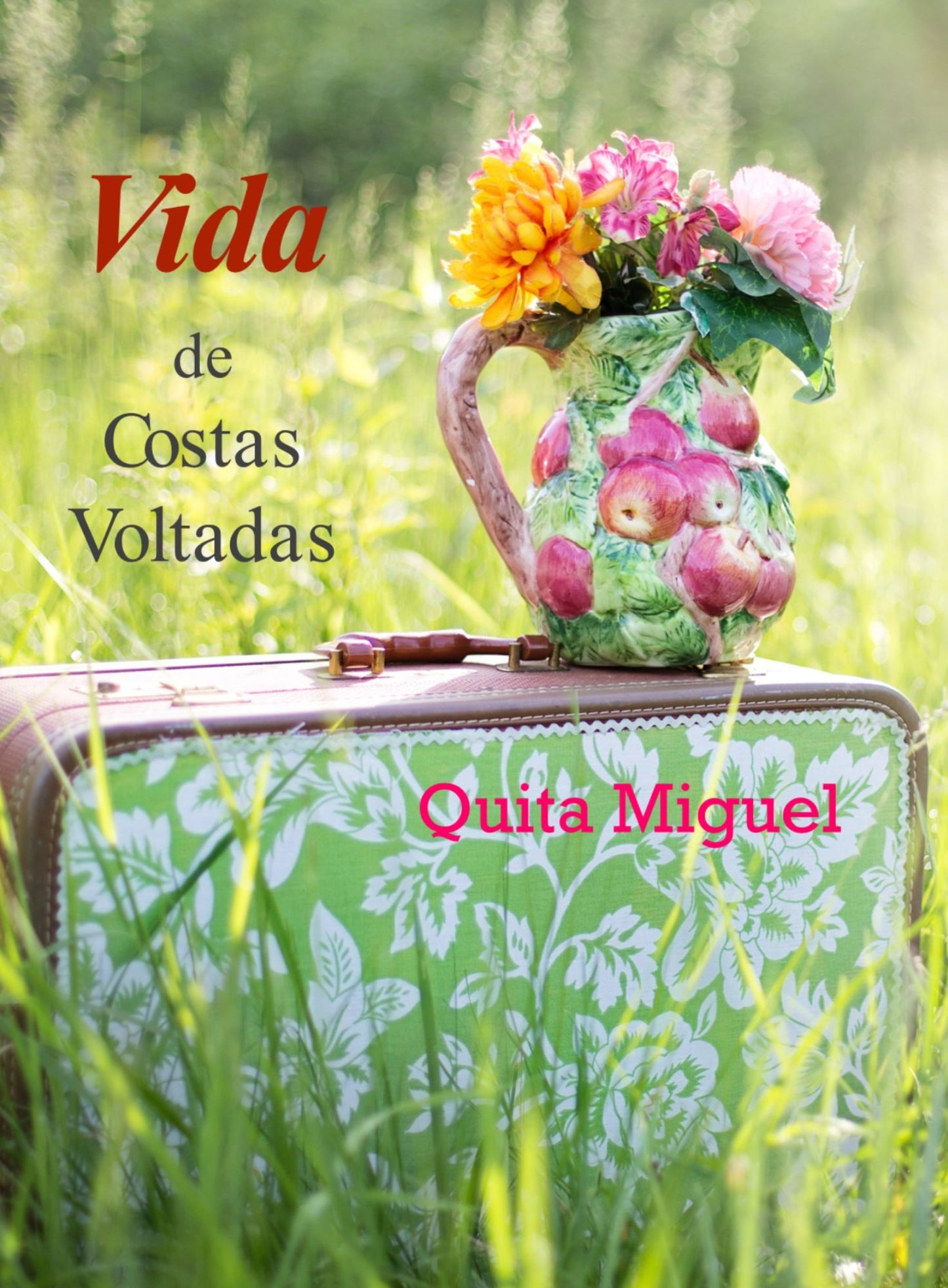 Vida de Costas Voltadas