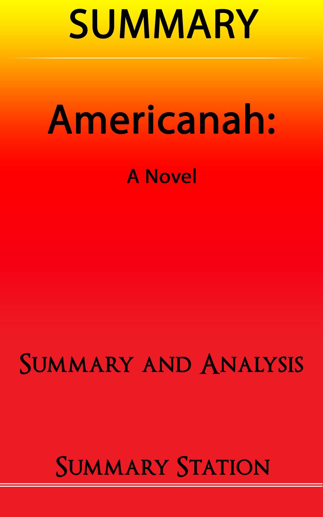 Americanah Summary