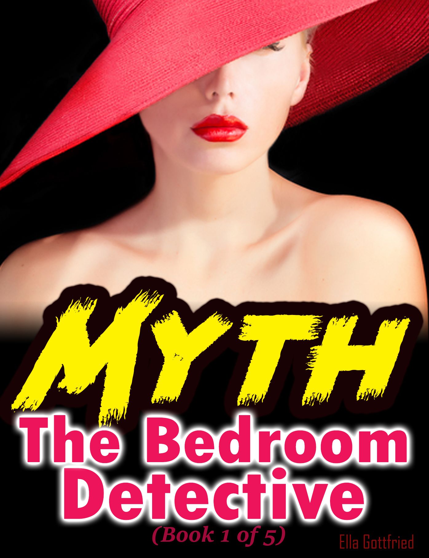 The Bedroom Detective (Book 1 of 5)
