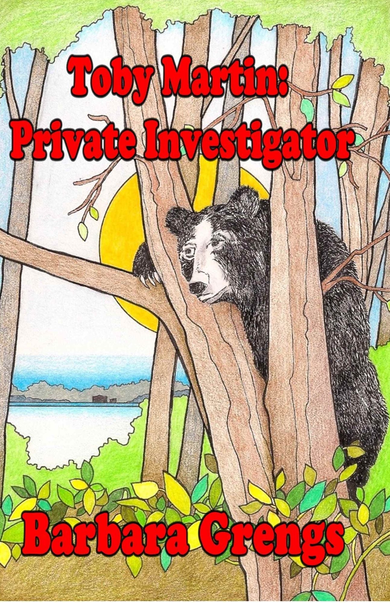 Toby Martin: Private Investigator