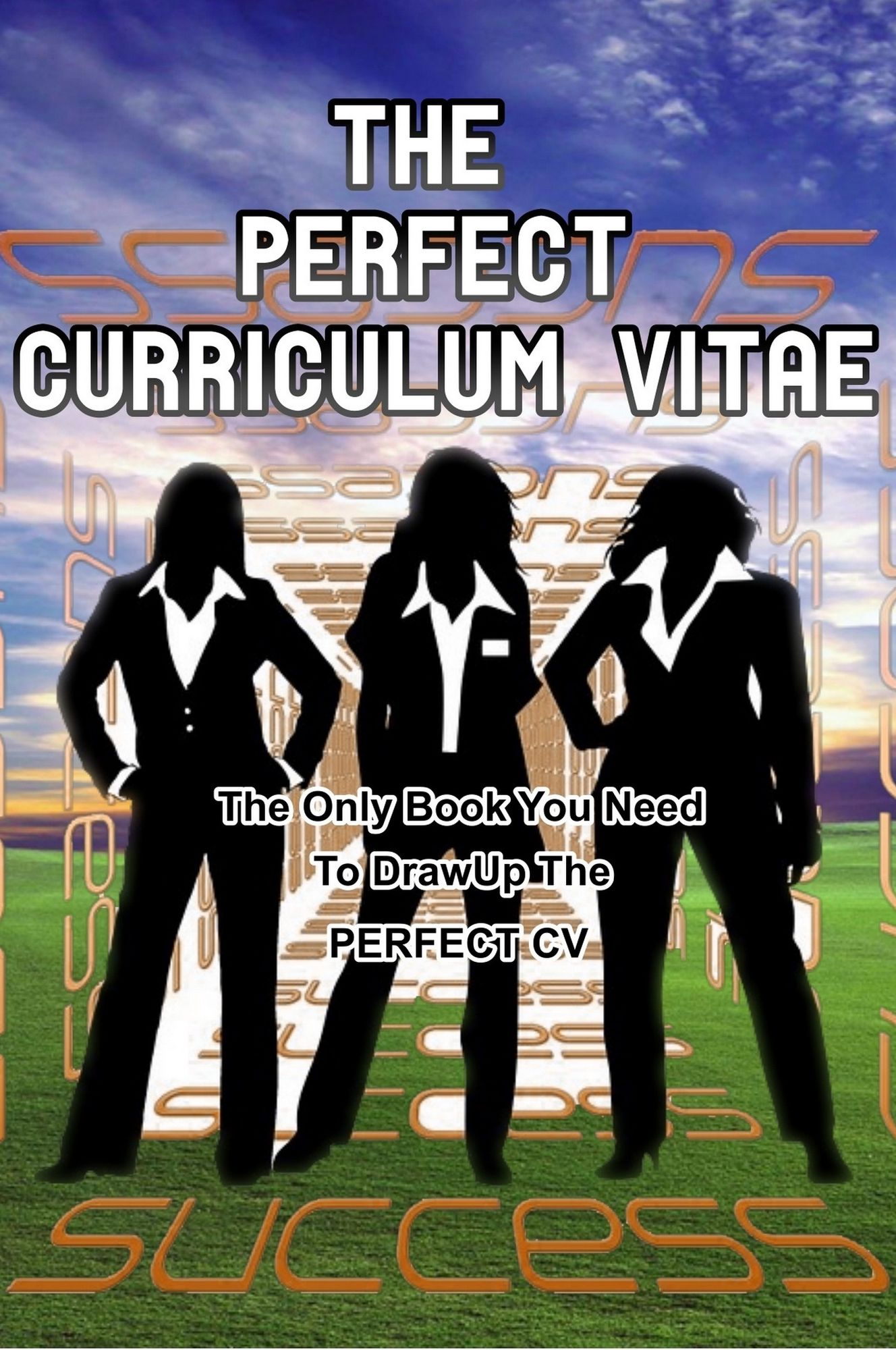 The Perfect Curriculum Vitae
