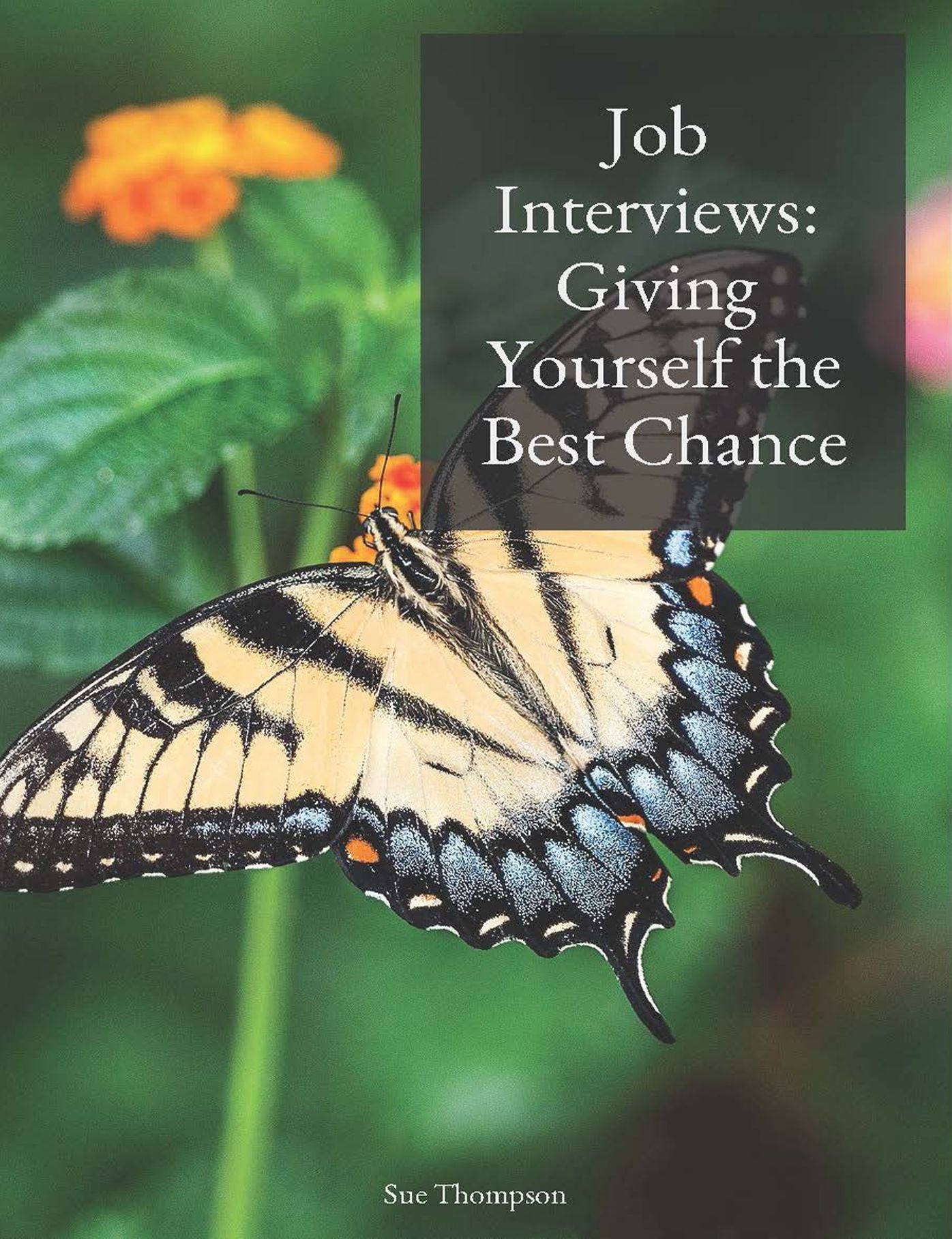 Job Interviews: Giving Yourself the Best Chance