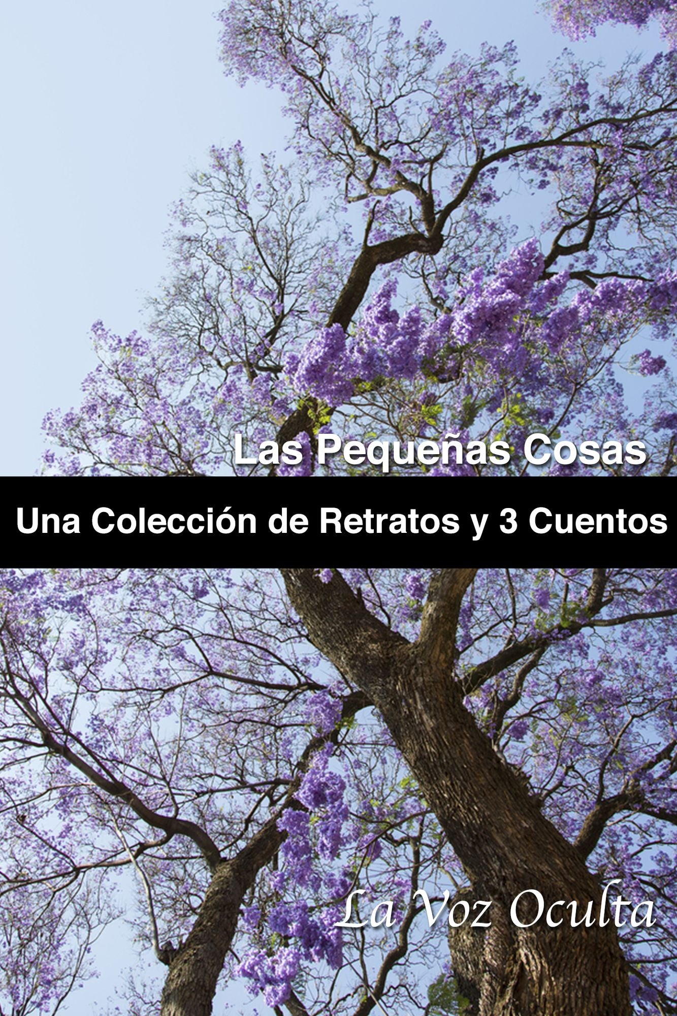 Las pequeñas cosas: una colección de retratos y tres cuentos