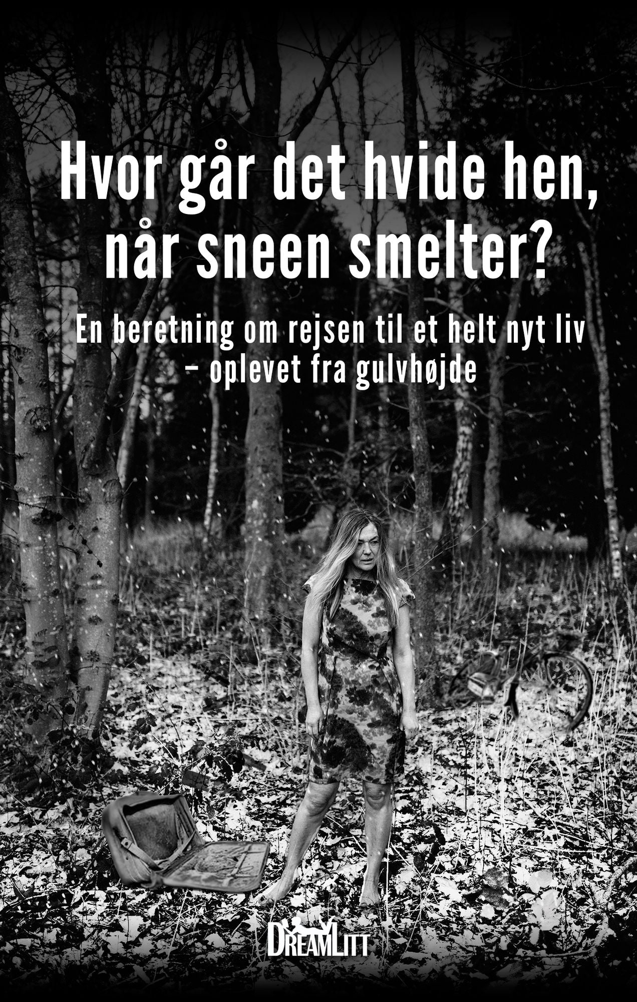 Hvor går det hvide hen, når sneen smelter?