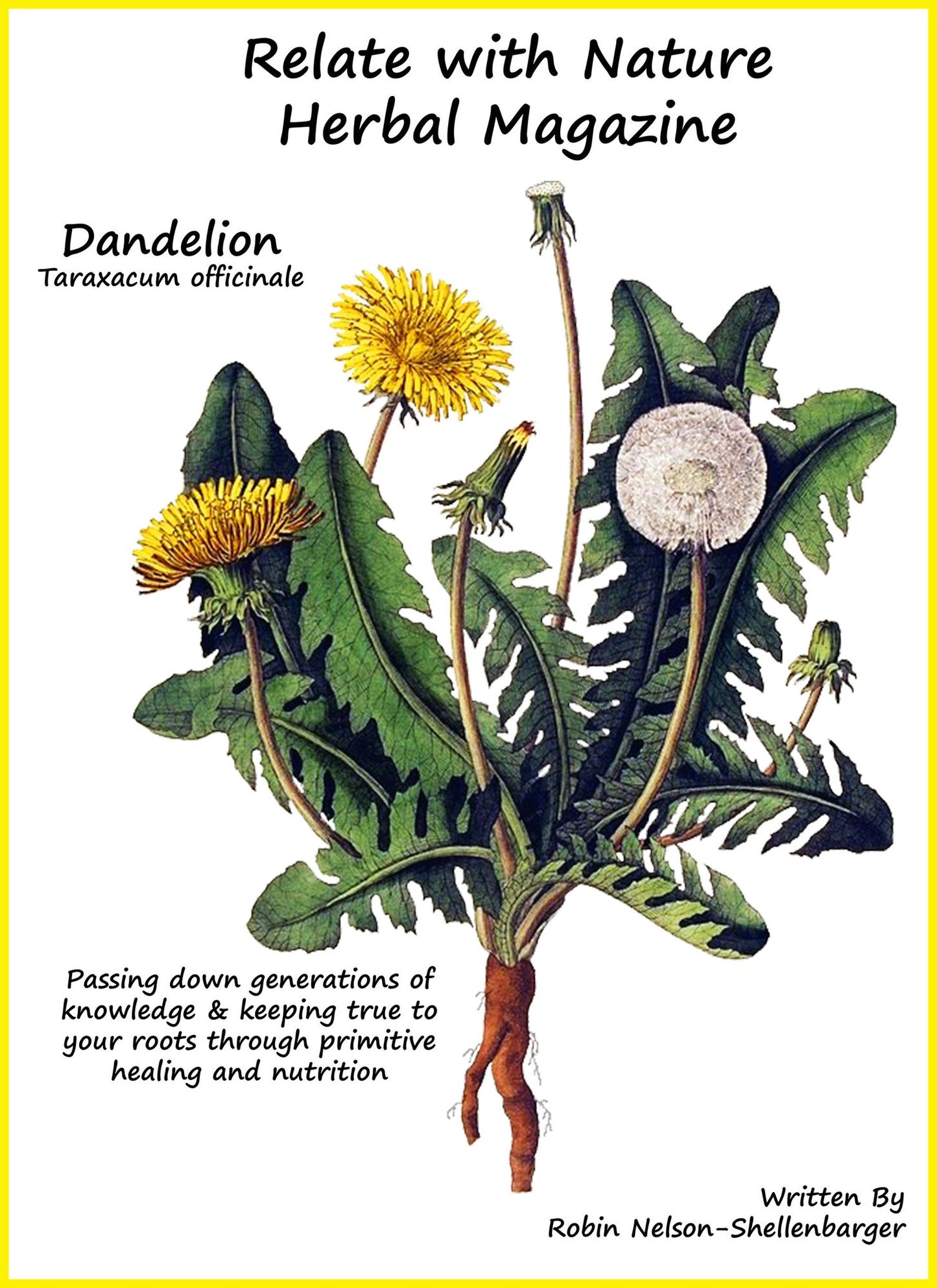 Relate With Nature Herbal Magazine Dandelion
