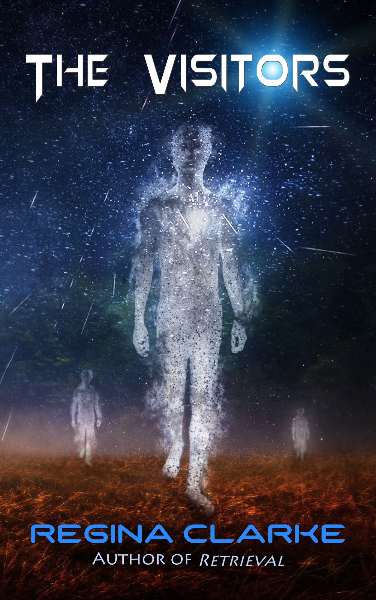 The Visitors