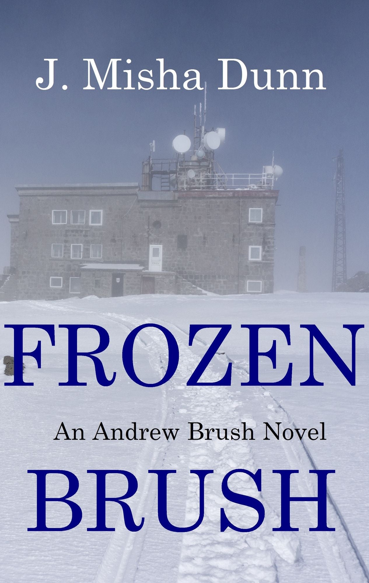 Frozen Brush