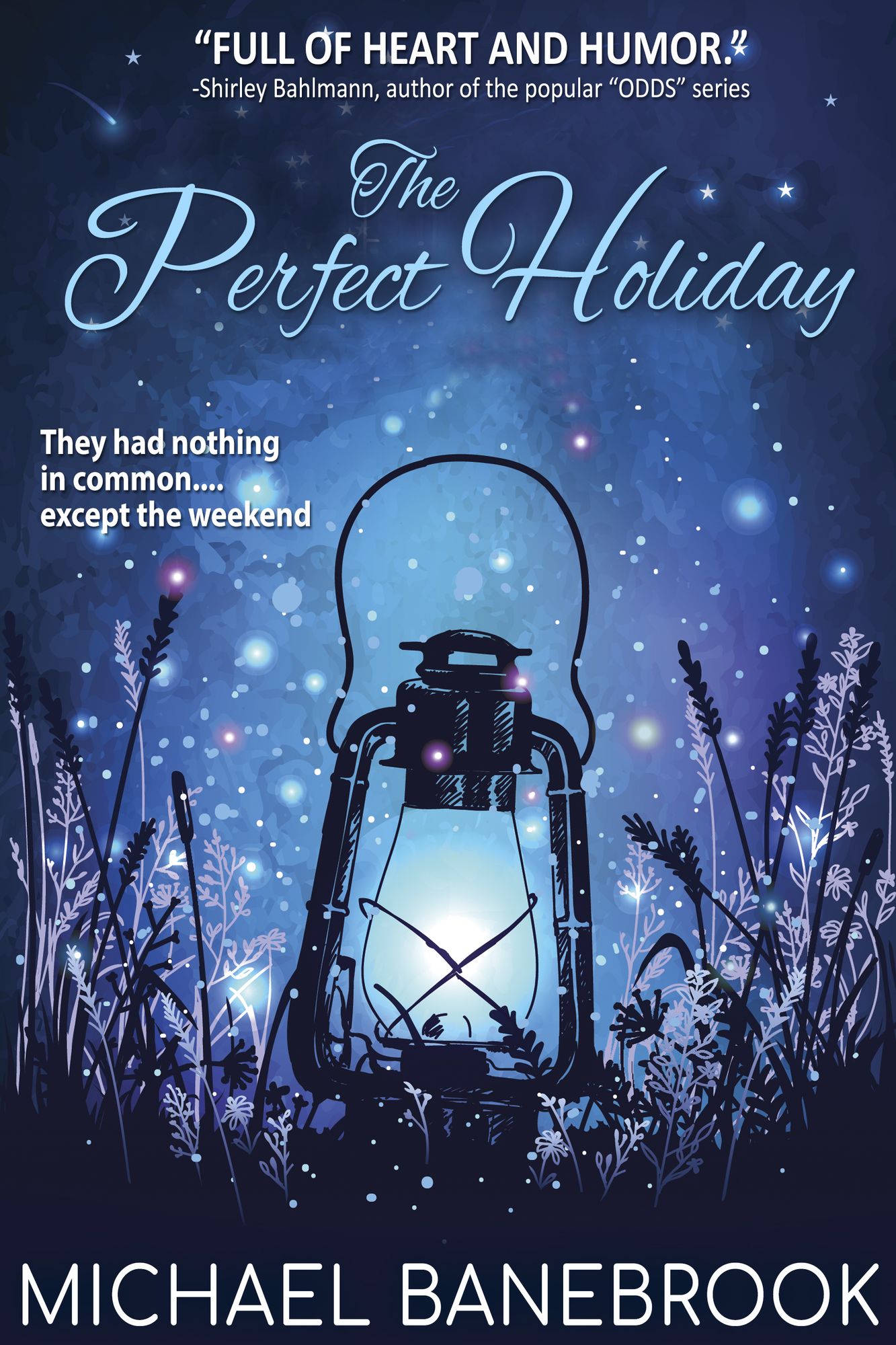 The Perfect Holiday